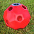 Burlingham Sports Mini Slow Feed Hay Ball Feeder